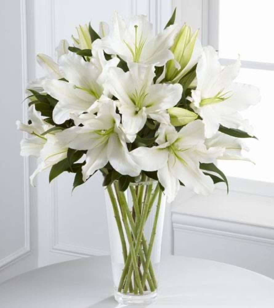 Heavens Lilies