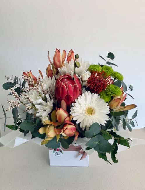 Native & Seasonal Mix Box