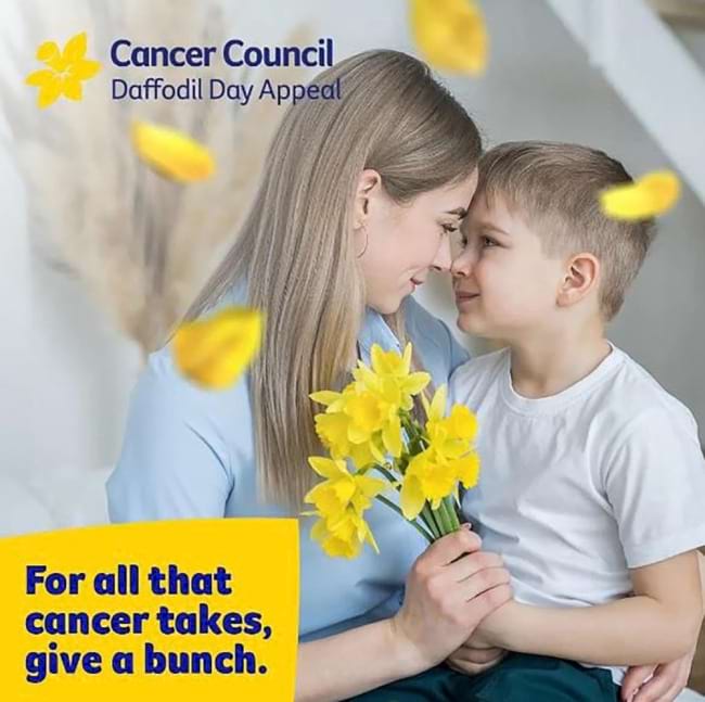 Daffodils