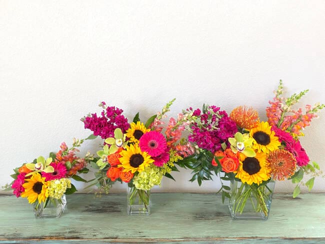 Seasonal Bright Blooms